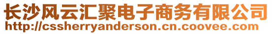 長沙風云匯聚電子商務有限公司