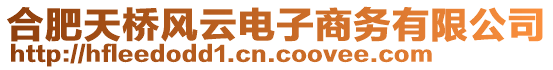 合肥天橋風(fēng)云電子商務(wù)有限公司