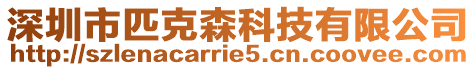 深圳市匹克森科技有限公司