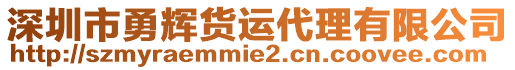 深圳市勇輝貨運代理有限公司