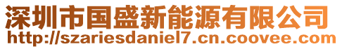 深圳市國盛新能源有限公司
