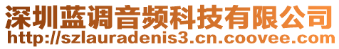 深圳藍調音頻科技有限公司