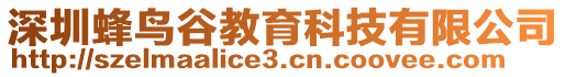 深圳蜂鳥谷教育科技有限公司