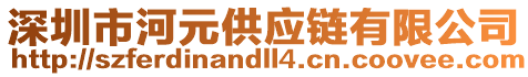 深圳市河元供應(yīng)鏈有限公司