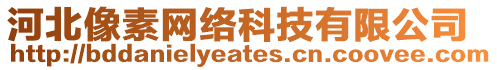 河北像素網絡科技有限公司
