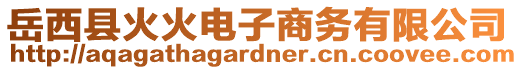 岳西縣火火電子商務有限公司