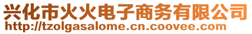 興化市火火電子商務(wù)有限公司