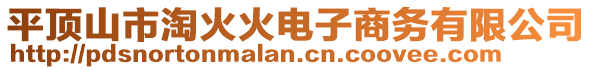 平頂山市淘火火電子商務(wù)有限公司