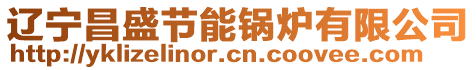 遼寧昌盛節(jié)能鍋爐有限公司