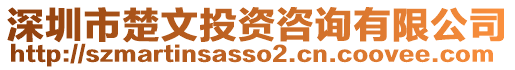 深圳市楚文投資咨詢有限公司