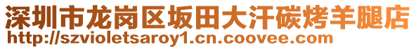深圳市龍崗區坂田大汗碳烤羊腿店
