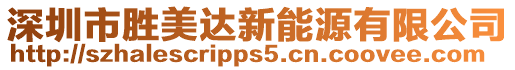深圳市勝美達新能源有限公司