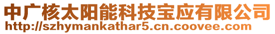 中廣核太陽能科技寶應有限公司