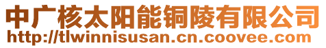 中廣核太陽(yáng)能銅陵有限公司