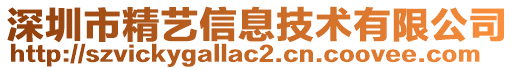 深圳市精藝信息技術(shù)有限公司