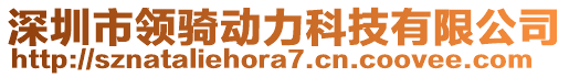 深圳市領(lǐng)騎動力科技有限公司