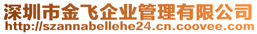 深圳市金飛企業管理有限公司