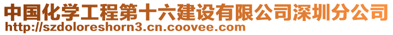 中國化學工程第十六建設有限公司深圳分公司