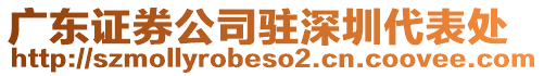 廣東證券公司駐深圳代表處