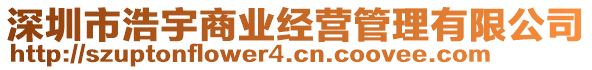 深圳市浩宇商業(yè)經(jīng)營管理有限公司