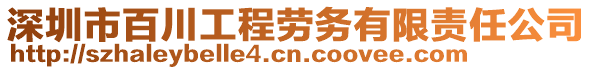 深圳市百川工程勞務(wù)有限責(zé)任公司