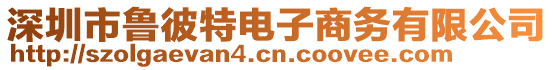 深圳市魯彼特電子商務(wù)有限公司