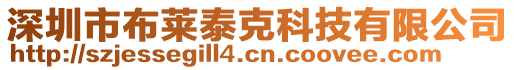 深圳市布莱泰克科技有限公司