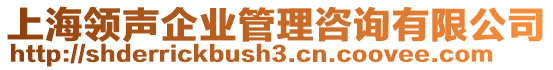 上海領(lǐng)聲企業(yè)管理咨詢有限公司