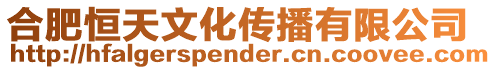 合肥恒天文化傳播有限公司