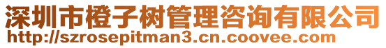 深圳市橙子樹管理咨詢有限公司