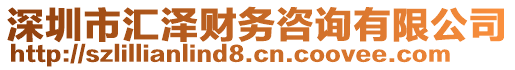 深圳市匯澤財務咨詢有限公司