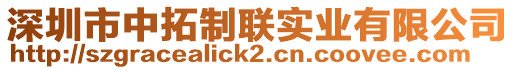 深圳市中拓制聯(lián)實業(yè)有限公司