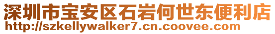 深圳市寶安區(qū)石巖何世東便利店