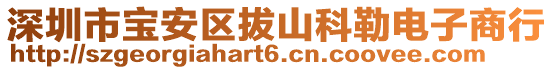 深圳市寶安區(qū)拔山科勒電子商行