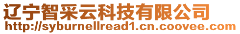 遼寧智采云科技有限公司