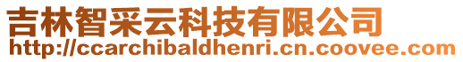 吉林智采云科技有限公司