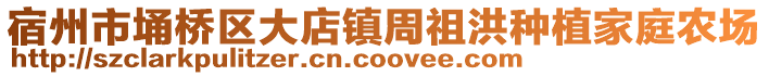 宿州市埇橋區大店鎮周祖洪種植家庭農場