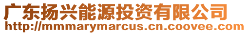 廣東揚興能源投資有限公司