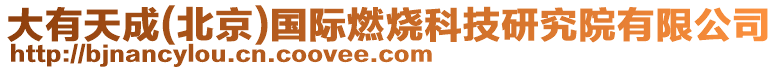 大有天成(北京)國(guó)際燃燒科技研究院有限公司