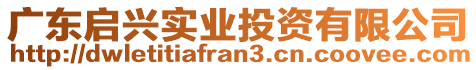 廣東啟興實(shí)業(yè)投資有限公司