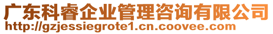 廣東科睿企業(yè)管理咨詢有限公司