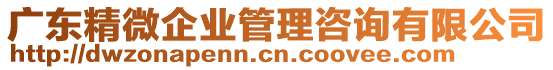 廣東精微企業(yè)管理咨詢有限公司