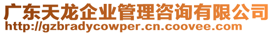 廣東天龍企業(yè)管理咨詢有限公司