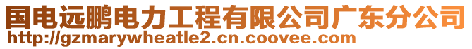 國電遠鵬電力工程有限公司廣東分公司