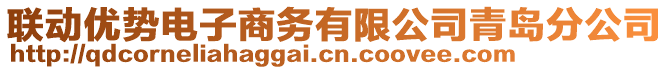 聯(lián)動(dòng)優(yōu)勢(shì)電子商務(wù)有限公司青島分公司