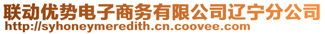 聯動優勢電子商務有限公司遼寧分公司