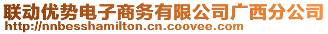 聯(lián)動(dòng)優(yōu)勢(shì)電子商務(wù)有限公司廣西分公司