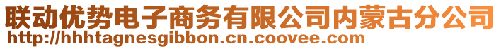 聯(lián)動優(yōu)勢電子商務有限公司內(nèi)蒙古分公司