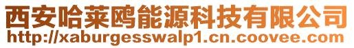 西安哈萊鷗能源科技有限公司