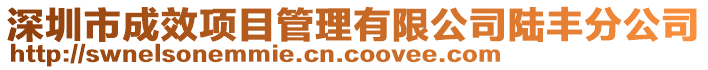 深圳市成效項目管理有限公司陸豐分公司